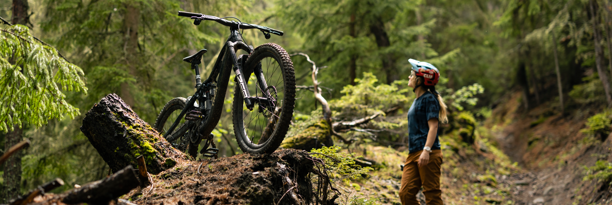 Bike Portada 1